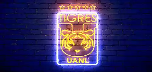 vectores plantilas FUTBOL,